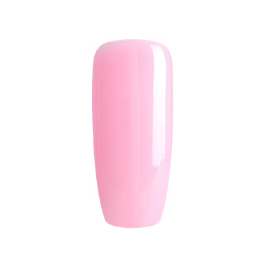ND08